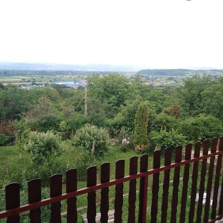 Вилла Dedinje Ягодина Экстерьер фото
