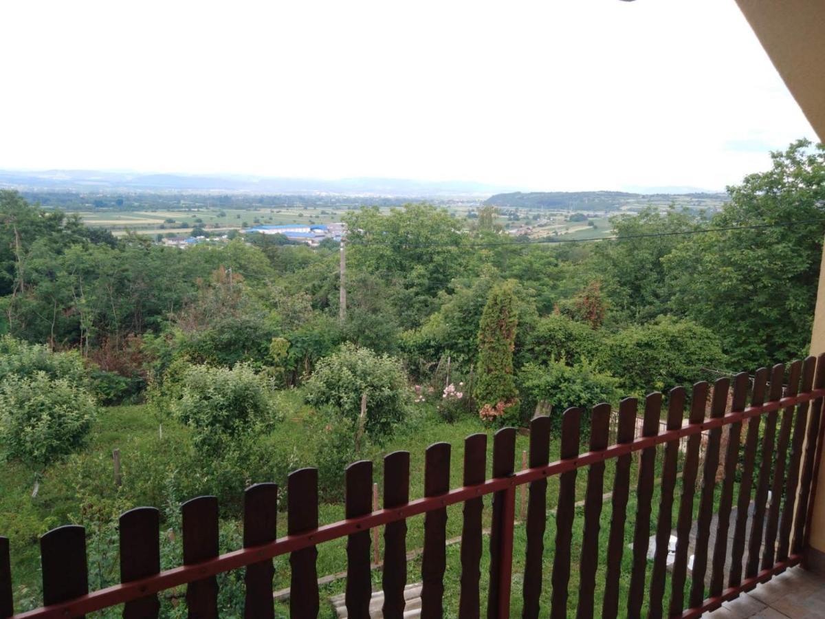 Вилла Dedinje Ягодина Экстерьер фото